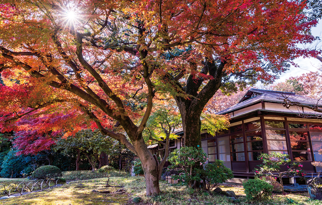 小石川後楽園