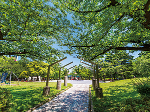 猿江恩賜公園