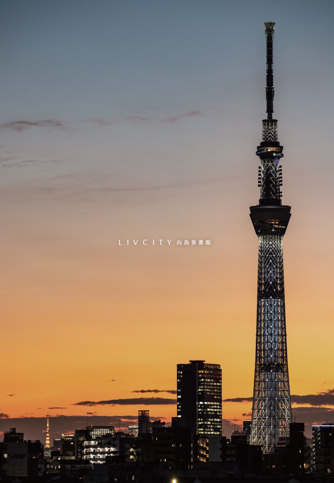 LIVCITY MUKOJIMA-3-BANKAN