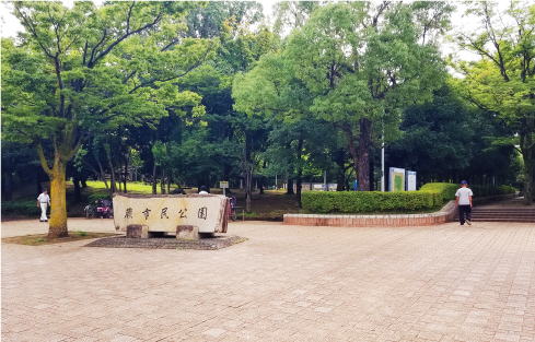 蕨市民公園