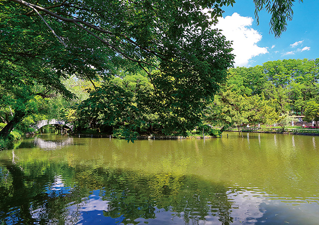 石神井公園