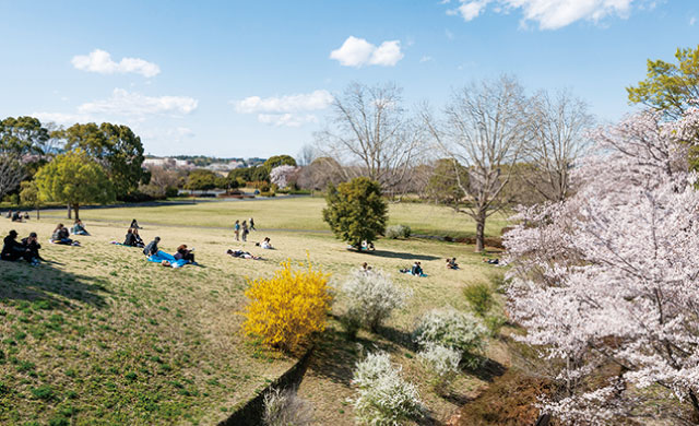 国営昭和記念公園