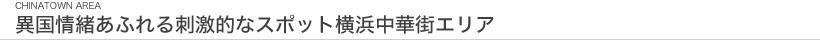 異国情緒あふれる刺激的なスポット横浜中華街エリア。