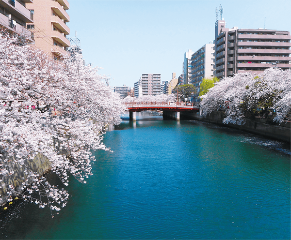 大岡川プロムナード